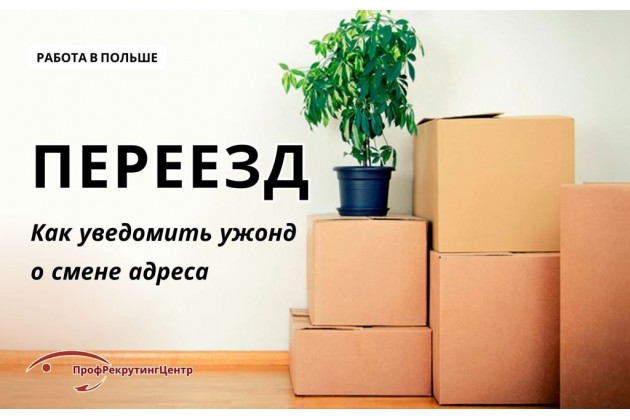 Переезд иностранца в Польше